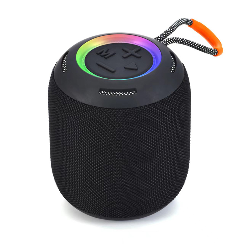 FLS-299 Speaker-09.jpg